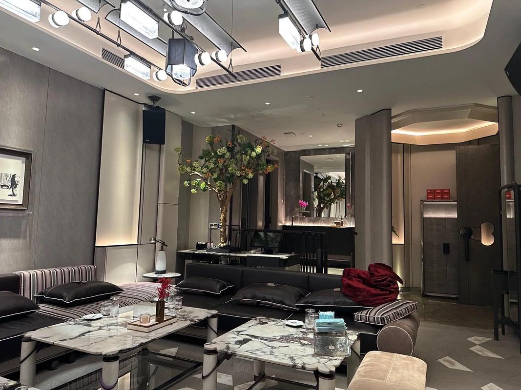 南充商务KTV：尊贵商务氛围，畅玩尽享-阆中市ktv预订